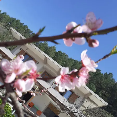 Kanushi House Gjirokaster