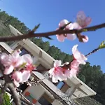 Kanushi House Gjirokaster