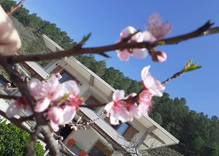 Kanushi House Gjirokastra